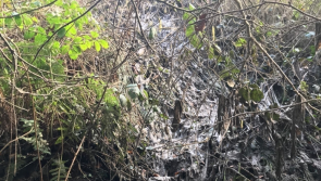 Waterford farmer fined €3,000 for dumping septic tank waste in stream
