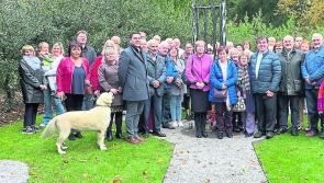 Moving ceremony ensures JoJo's memory lives on in the hearts of Kilkenny people 