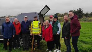 Tree planting to mark Dundalk's Fatima estate 70th anniversary