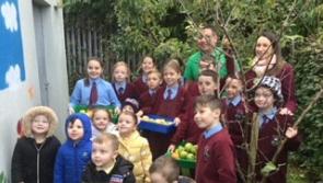 EcoLive: Gardening Club a great hit for Derry school pupils