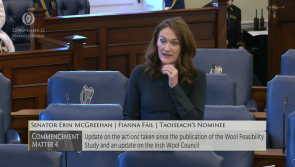 Louth Senator calls for progress report on the establishment of the wool council of Ireland 