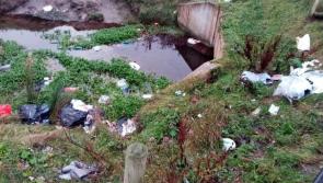 PHOTOS: Councillor highlights illegal dumping at site in Kildare 
