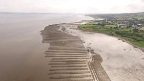Dangers of aquaculture on Lough Foyle highlighted