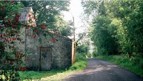 New book by Bernadette McCarrick