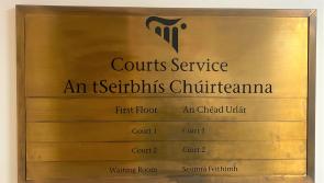 Woman  ‘faithfully promises not to do this kind of thing again’ in Longford District Court