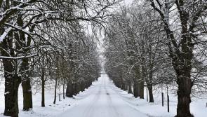 Ireland Weather: Weather Warnings likely as Met Eireann forecast Arctic blast to bring snow and freezing temperatures