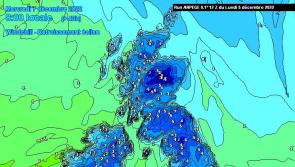 ALERT: 'Could be a dusting of snow for some this week,' says Carlow forecaster 