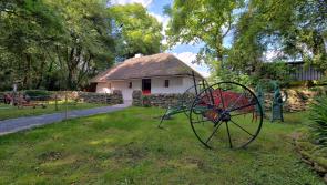 Big Kildare Interview: Meet the community-based organisation dedicated to ‘creating an equal and inclusive society’