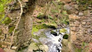 Visit beautiful Cadamstown and the Silver River with Roscrea Trailblazers