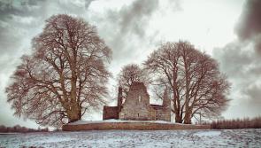 New Discovery Trail will open up the wonder of Roscrea's Monaincha Abbey