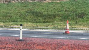 Motorcyclist raises safety concerns over A6 wire rope barriers
