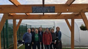 PICTURES: Biodiversity skills  blossom in new Tipperary ETB horticulture course