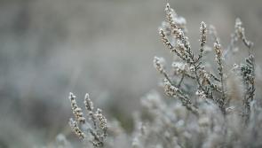 ADVISORY: Orange weather warning in place for Tipperary from this evening