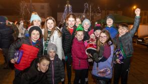 IN PICTURES:  Laois Christmas Lights Festival