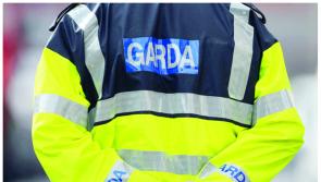 Garda investigation underway in Carlow after car goes on fire