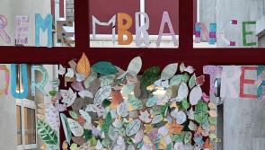 Presentation Thurles students create a beautiful November Tree of Remembrance