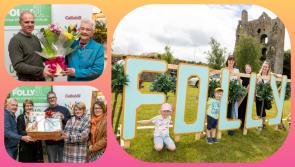 In PICTURES: Laois benefit from fabulous Folly Festival that's back in 2023