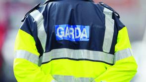 Gardaí in Carlow investigating theft of chainsaw