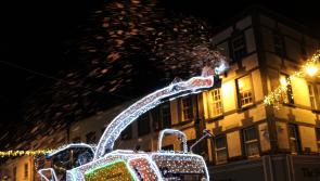 WATCH: Annual Christmas tractor display lights up the town of Nenagh 