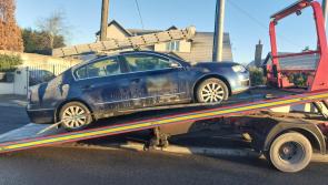 Motorist who was driving while serving ten-year driving ban arrested by garda&iacute; in Kildare