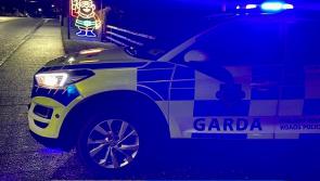 Gardaí seize vehicles and cannabis and arrest two drivers in Moneygall 