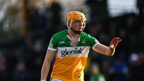 Encouraging defeat gives Offaly an early season platform to build on