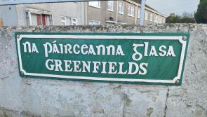Estate management group lodges appeal against planned apartment complex in Limerick