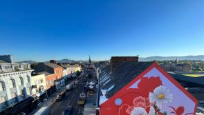 Dundalk mural shortlisted in worldwide best street art competition 