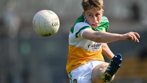 Offaly make changes for Dublin O'Byrne Cup clash