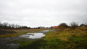 Tesco lodges appeal over inclusion on Draft Residential Zoned Land Tax Map in Kilkenny