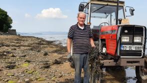 Donegal's oldest councillor retires next Tuesday