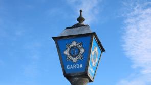 Gardaí investigating theft of grease gun 