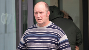 Letterkenny man jailed for animal cruelty after days old foal attacked by dogs