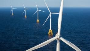 Danish companies to invest €4 billion to develop Irish offshore windfarms including one off the Louth coast 