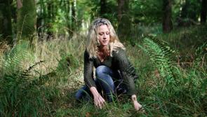 Local Natural Skincare Business Dublin Herbalists Nominated for Guaranteed Irish Business Award