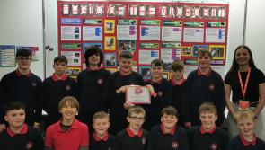 Major award for Offaly primary school students at BT Young Scientists exhibition