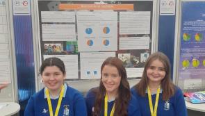 Thurles students do their schools proud at this year's BT Young Scientist and Technology Exhibition