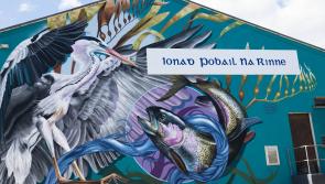 Walls to paint in Waterford city and countryside sought for festival 