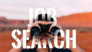 Jobs Board: Seven Tipperary Jobs you can apply for today