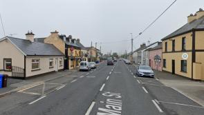 Plan for almost 100 houses  in Laois village resubmitted 