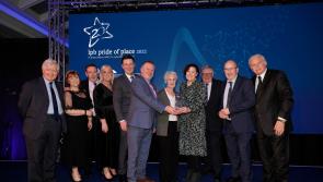Offaly projects honoured in All-Ireland Community Awards