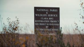 WATCH: Beautiful video of Offaly bog published for World Wetlands Day