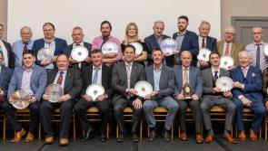 IN PICTURES: Irish Pedigree Cattle Breeders Awards in Portlaoise