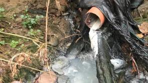  Moves to deal with effluent at Quigley’s Point welcomed