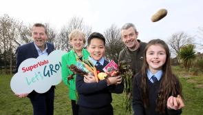Registration for  ‘Let’s GROW’ initiative now open to schools in Kilkenny
