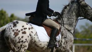 Thurles students take home top prizes at the Tri Interschools Show Jumping Competition