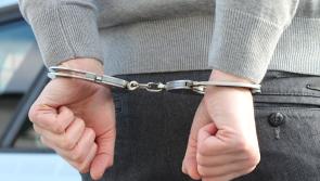 Eight arrested in Donegal as part of Operation Thor