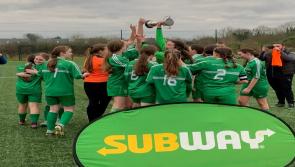 Portlaoise claim South Leinster crown