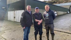 Inishowen's Farm Support Officer elected as new Donegal IFA chairperson 