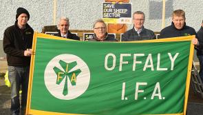 Offaly IFA members attend sheep sector income crisis protest
